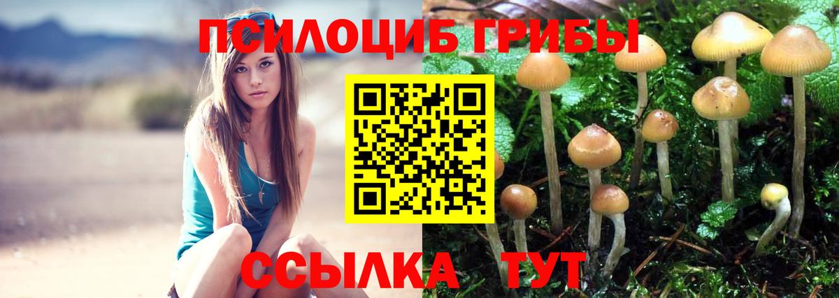 Псилоцибиновые грибы GOLDEN TEACHER Урай