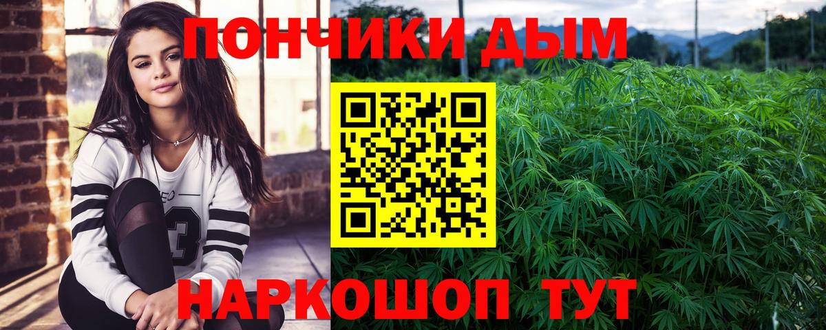 Бошки Шишки сатива Урай